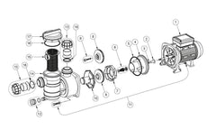 Ersatzteile für Pentair SWIMMEY