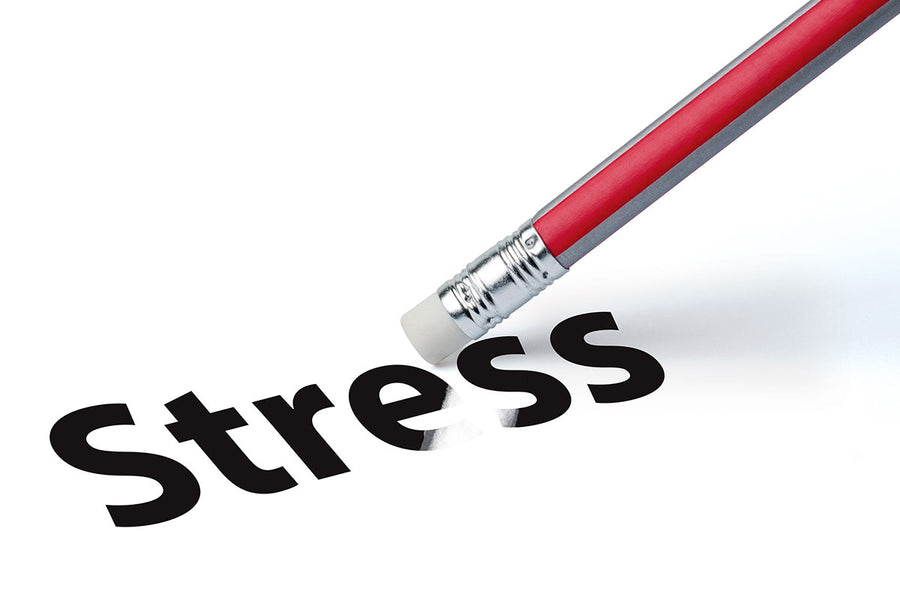 Reduziert Stress und Ängste