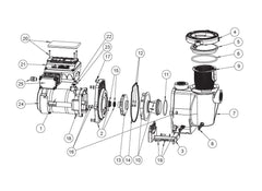 Ersatzteile für Pentair INTELLIFLO WHISPERFLO VSF